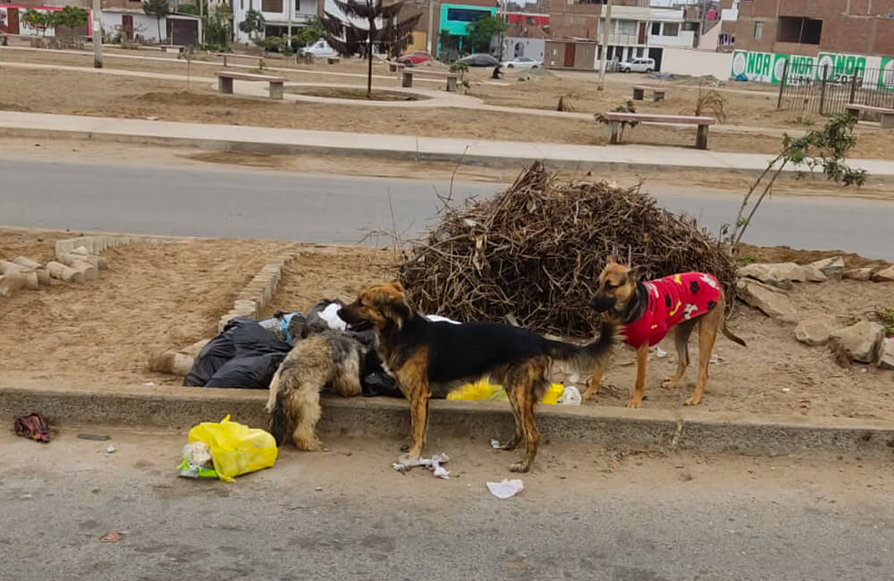 la basura en la Urb. La Estancia