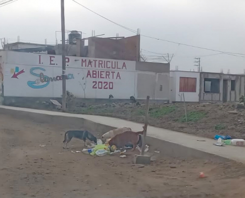 basura en La Estancia de Lurín