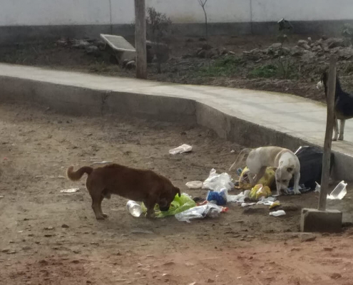 basura en La Estancia de Lurín